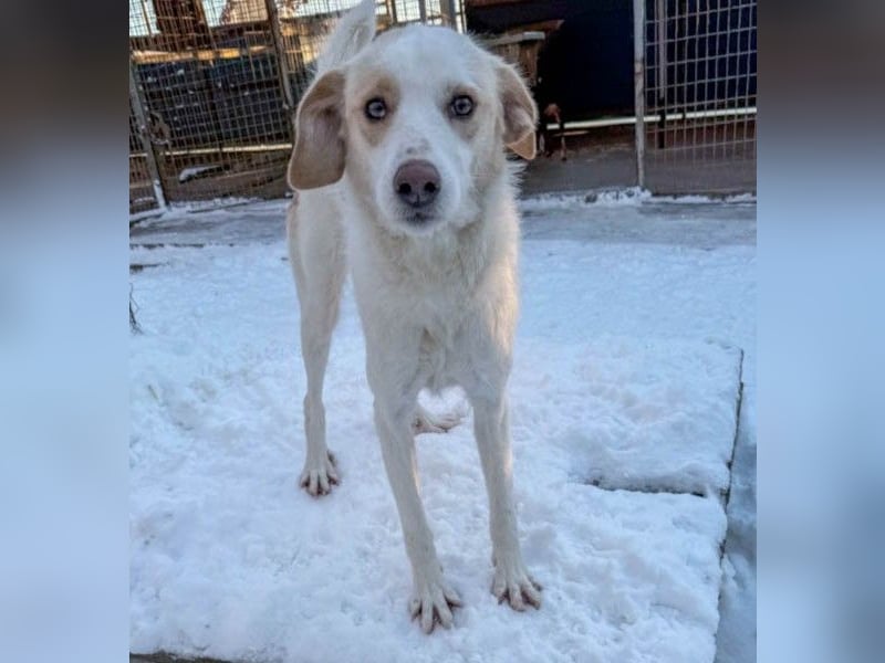 Lebensfrohe LIMA bezaubert durch ihre fröhliche und liebe Art