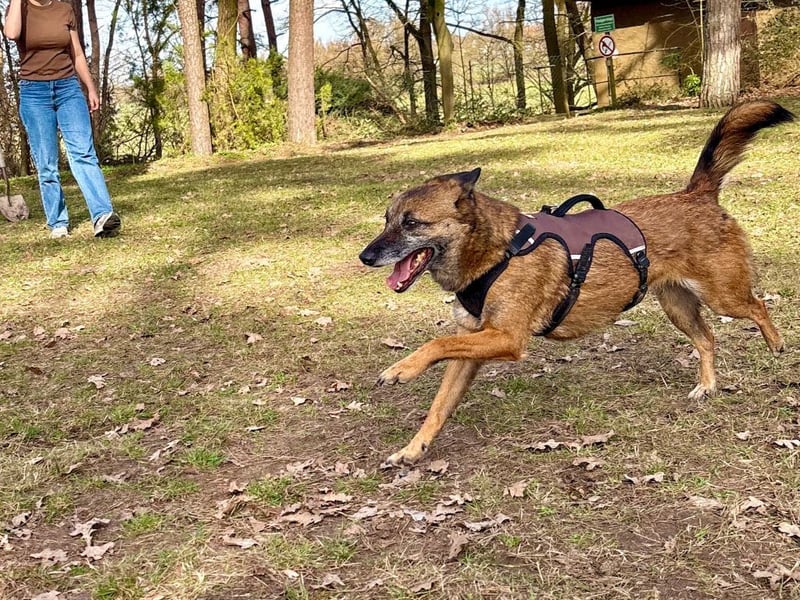 NISHA bezaubernd, liebesbedürftig, wundervoll such nach DIR