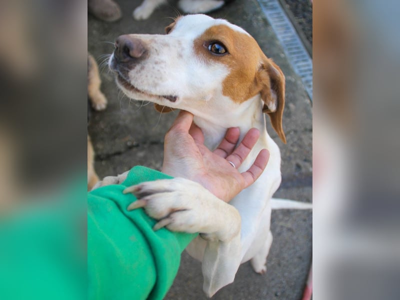 TAKITA lebensfroh, freundlich, für jeden Spaß zu haben