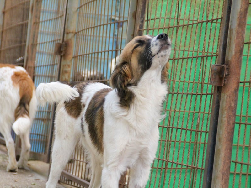 WILHELM, lebensfroher Weltentdecker WILHELM, lebensfroher Weltentdecker