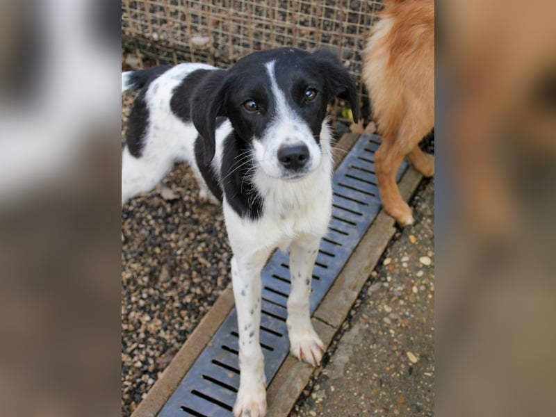 Fröhlicher Traumprinz ILIAS möchte dich verzaubern