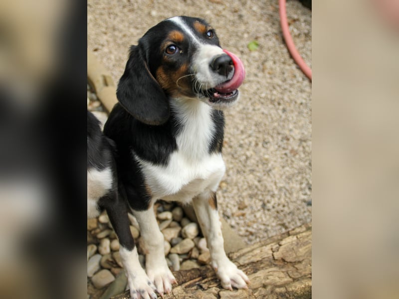 Zauberhafte LOARA will die Welt entdecken