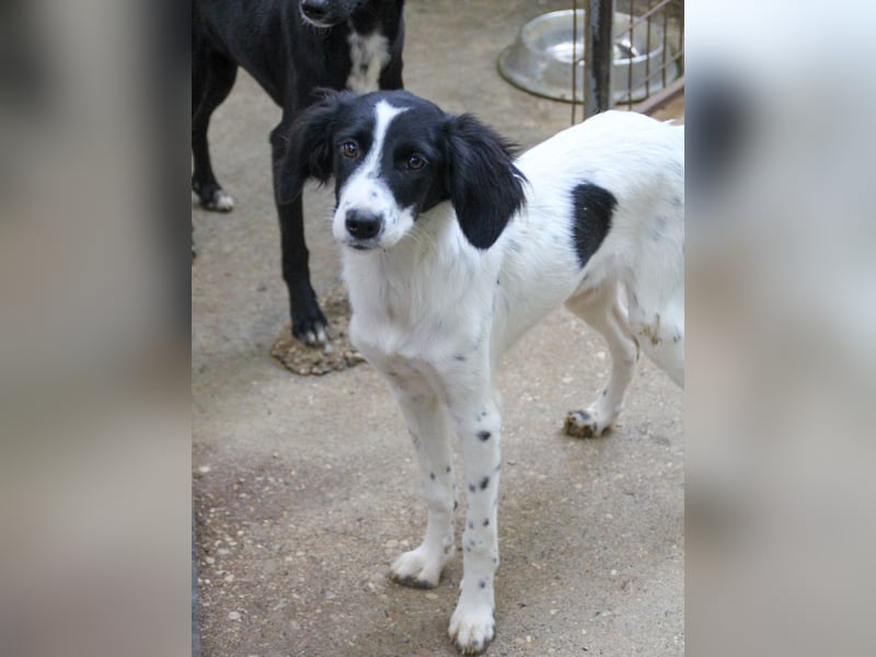 Zuckersüße IRENA bezaubert durch ihre fröhliche Art