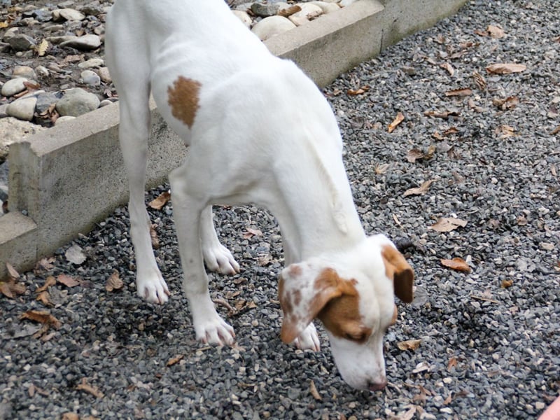 TAKITA lebensfroh, freundlich, für jeden Spaß zu haben
