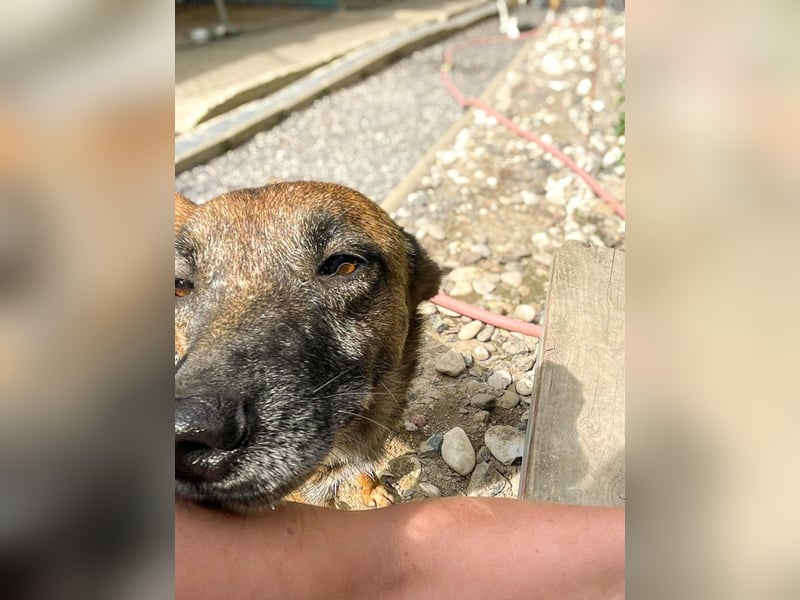 NISHA - liebenswert, fröhlich sucht Ihre Herzensmenschen