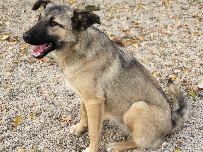 Lebensfrohe JOSEPHINE bezaubert durch ihre fröhliche und liebe Art