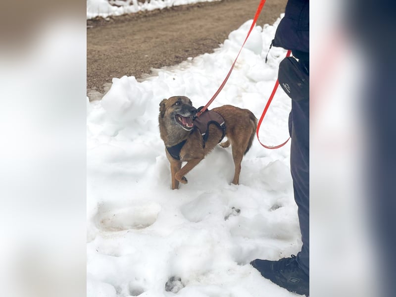 NISHA bezaubernd, liebesbedürftig, wundervoll such nach DIR