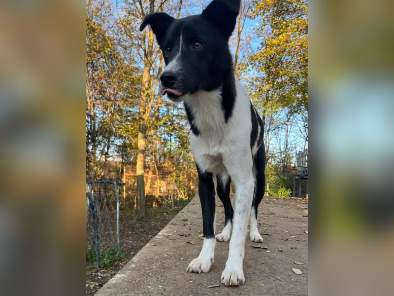 Charmante CHANTAL ist noch etwas zurückhaltend