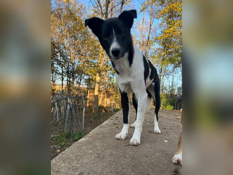 Charmante CHANTAL ist noch etwas zurückhaltend