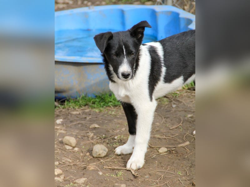 Charmante CHANTAL ist noch etwas zurückhaltend