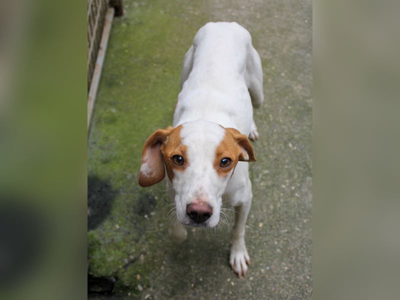 TAKITA lebensfroh, freundlich, für jeden Spaß zu haben