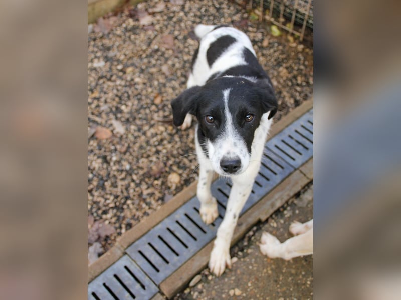 Fröhlicher Traumprinz ILIAS möchte dich verzaubern