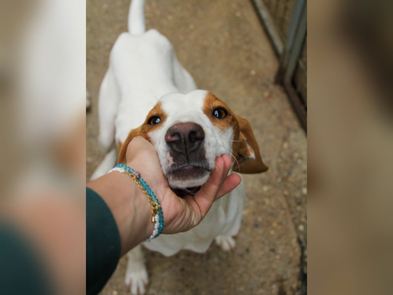 TAKITA lebensfroh, freundlich, für jeden Spaß zu haben