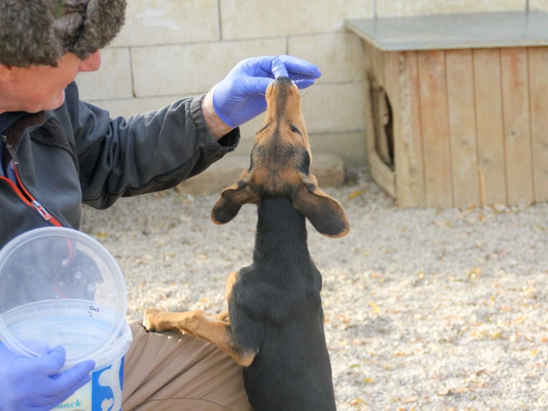 Zuckersüße FUTURE hofft, dass ihr die Zukunft bald ein tolles Zuhause bringt