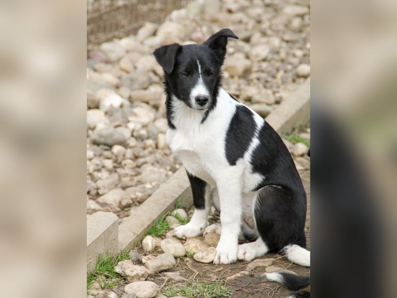 Charmante CHANTAL ist noch etwas zurückhaltend