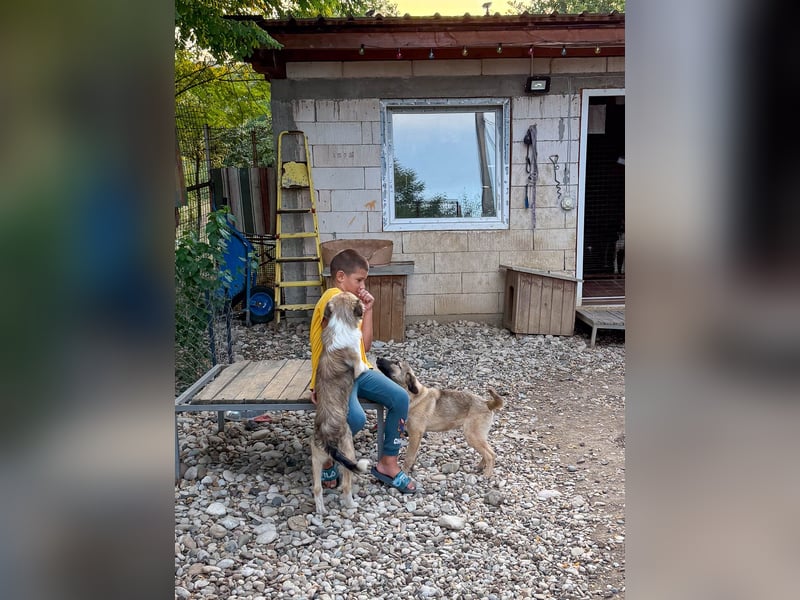 Zuckersüße JOSEPHINE bezaubert durch ihre fröhliche Art