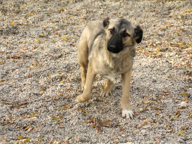 Lebensfrohe JOSEPHINE bezaubert durch ihre fröhliche und liebe Art