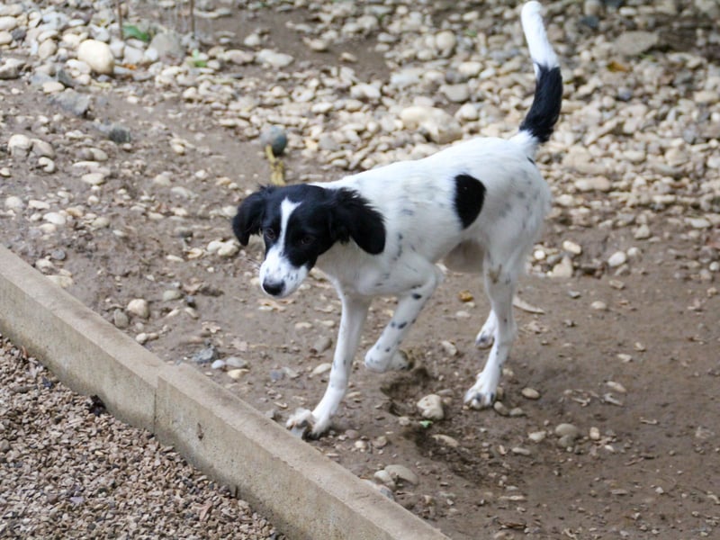 Zuckersüße IRENA bezaubert durch ihre fröhliche Art