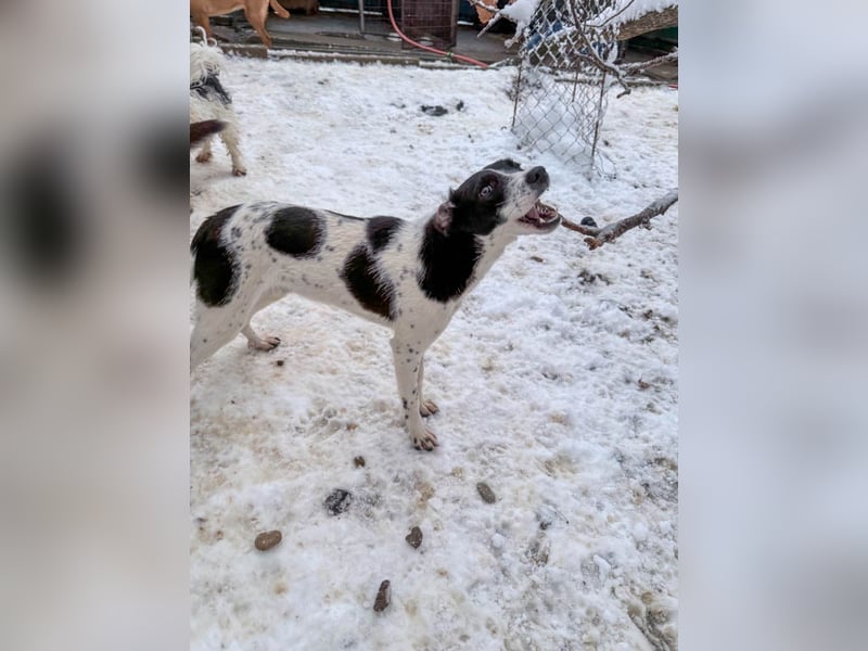 Fröhlicher Traumprinz ILIAS möchte dich verzaubern