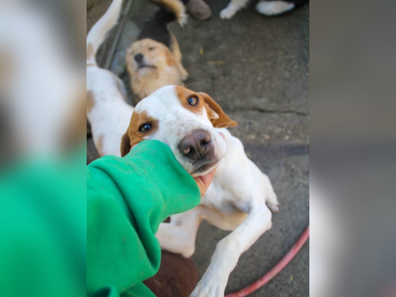 TAKITA lebensfroh, freundlich, für jeden Spaß zu haben