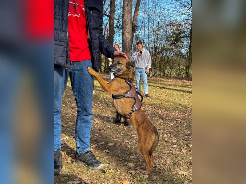 bezaubernde NISHA wartet bereits in Erlangen auf DICH