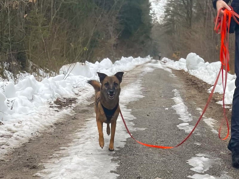 NISHA bezaubernd, liebesbedürftig, wundervoll such nach DIR