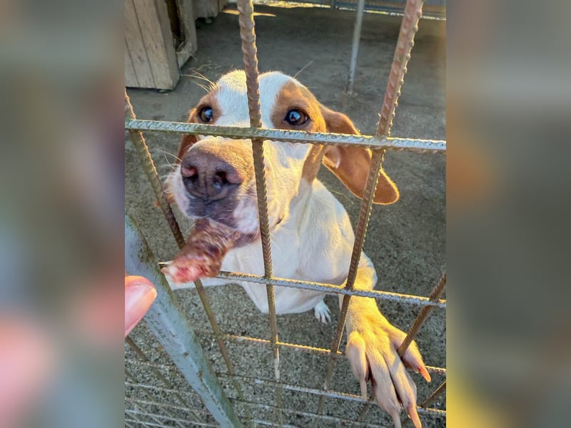 TAKITA lebensfroh, freundlich, für jeden Spaß zu haben