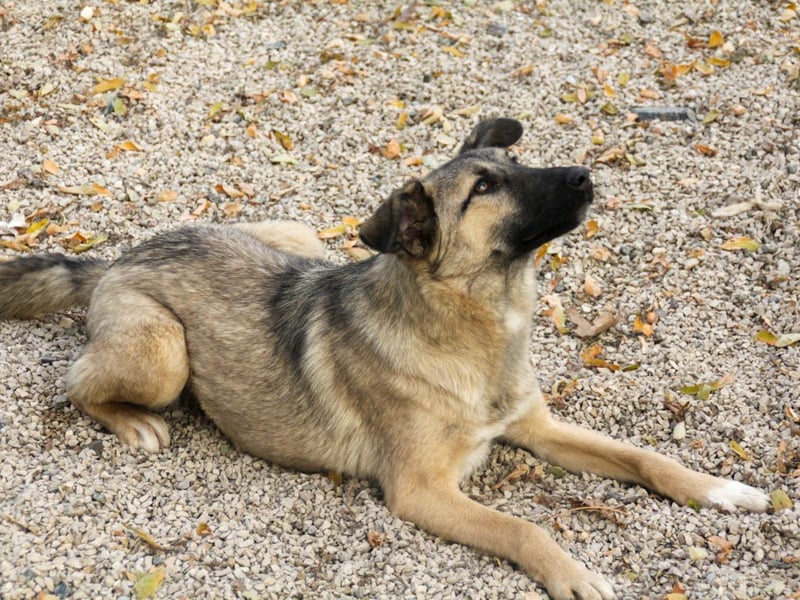 Lebensfrohe JOSEPHINE bezaubert durch ihre fröhliche und liebe Art