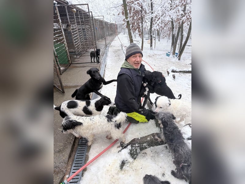 Kuscheln und Spielen im eigenen Zuhause, davon träumt die liebe IRMA