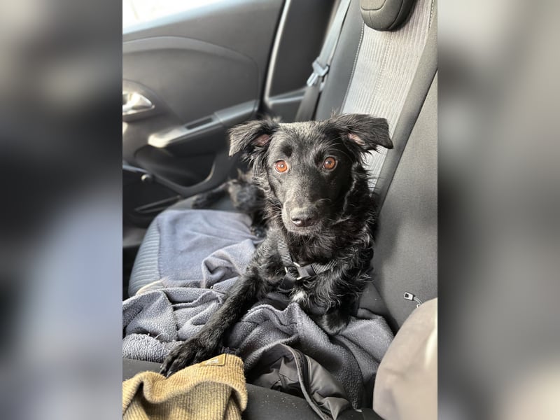 Lebensfrohe DAYA wartet in Erlangen auf DICH