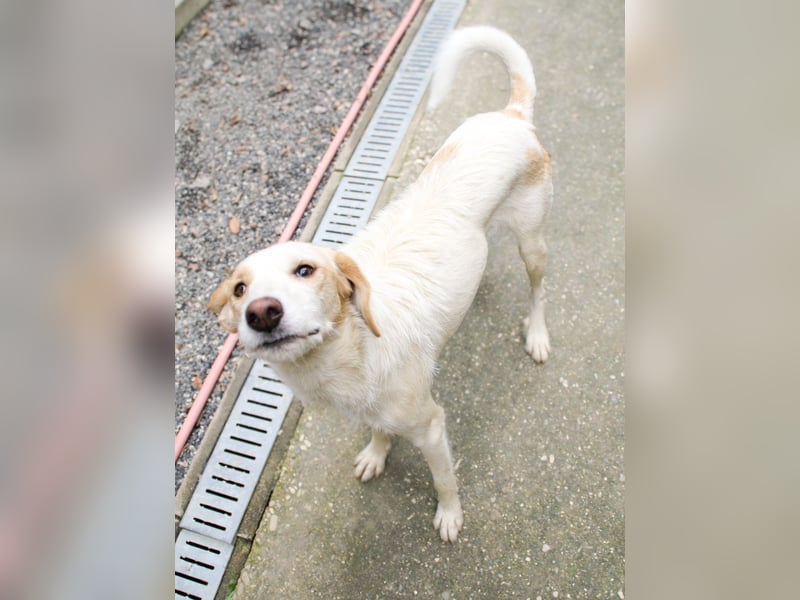 Lebensfrohe LIMA bezaubert durch ihre fröhliche und liebe Art