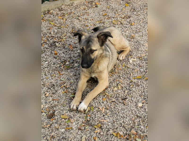 Lebensfrohe JOSEPHINE bezaubert durch ihre fröhliche und liebe Art