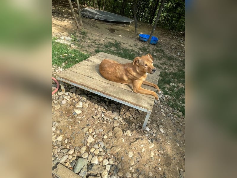 SVEN, liebenswerter Rentner sucht seinen Herzensmensch SVEN, liebenswerter Rentner sucht seinen Herzensmensch