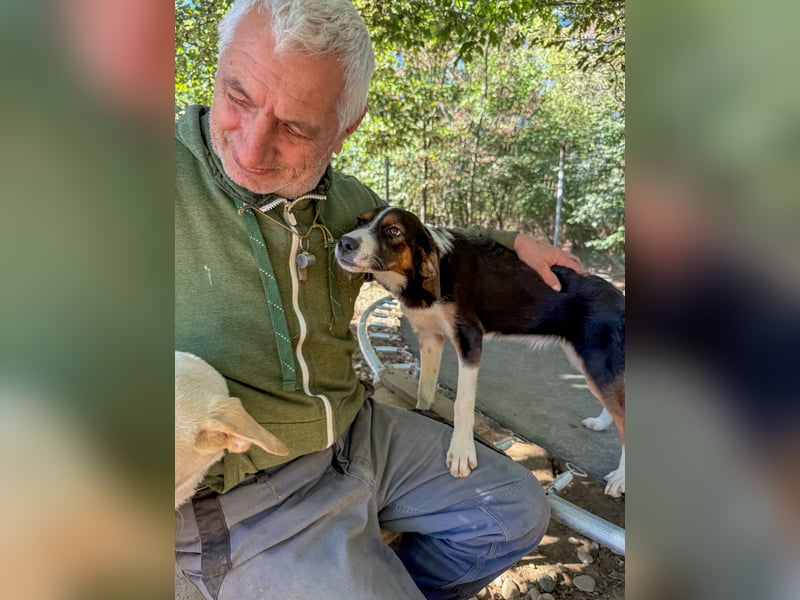 Verspielte, freundiche und verschmuste LOARA sucht ihr liebevolles Zuhause