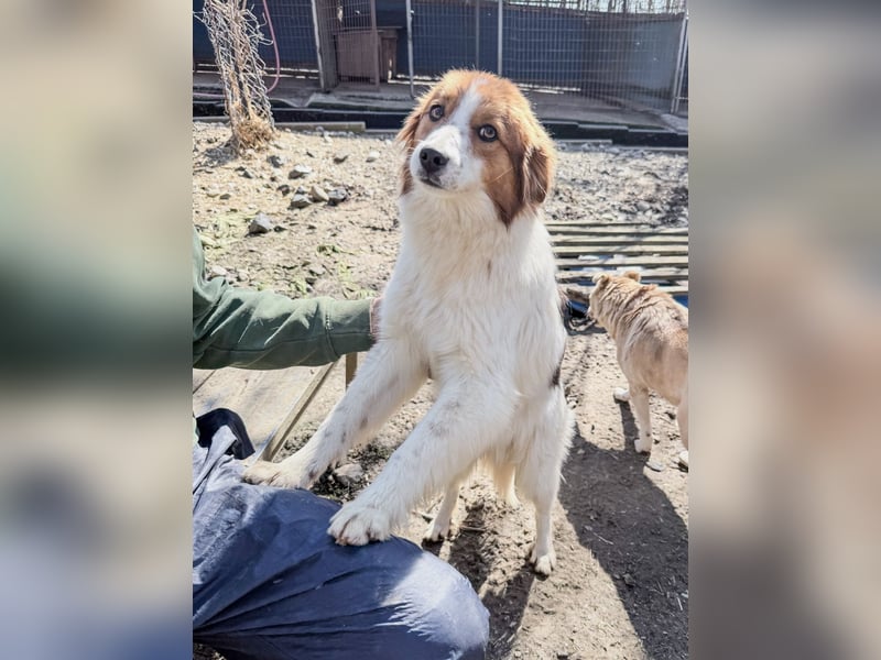 Fröhlicher Traumprinz FRIEDRICH möchte dich verzaubern