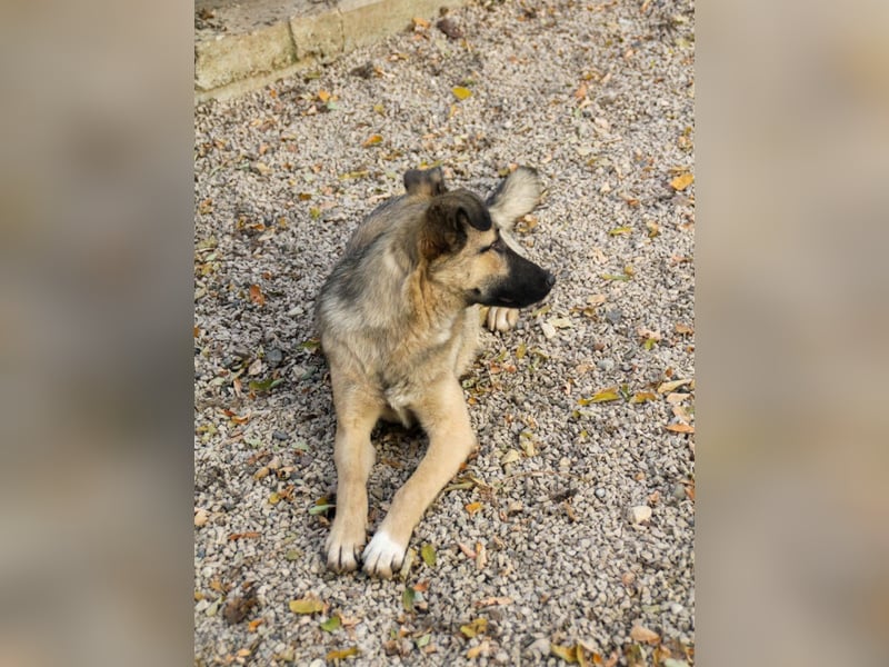 Lebensfrohe JOSEPHINE bezaubert durch ihre fröhliche und liebe Art