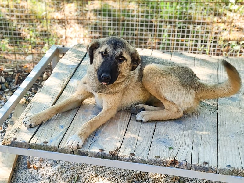 Zuckersüße JOSEPHINE bezaubert durch ihre fröhliche Art