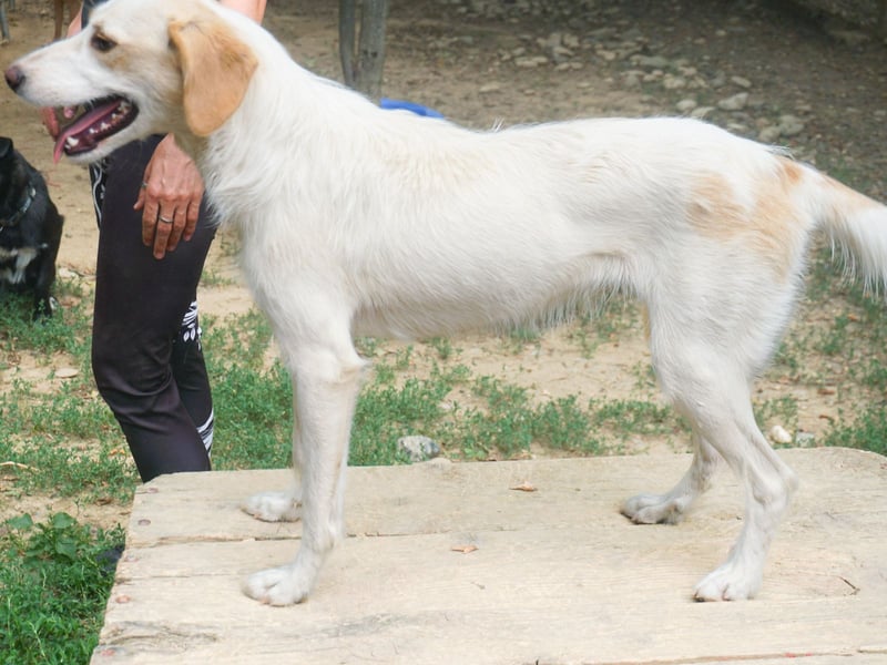 Lebensfrohe LIMA bezaubert durch ihre fröhliche und liebe Art