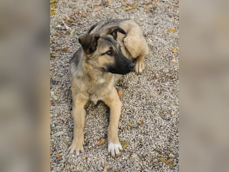 Lebensfrohe JOSEPHINE bezaubert durch ihre fröhliche und liebe Art