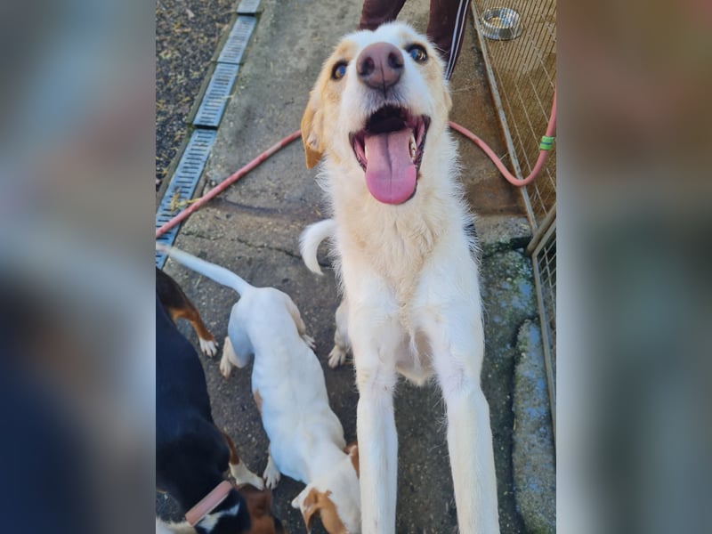 Lebensfrohe LIMA bezaubert durch ihre fröhliche und liebe Art