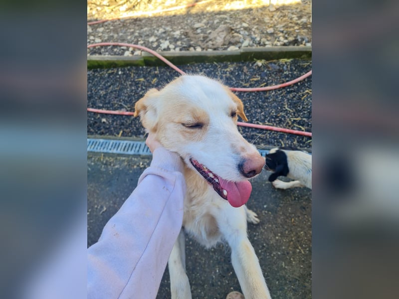 Lebensfrohe LIMA bezaubert durch ihre fröhliche und liebe Art