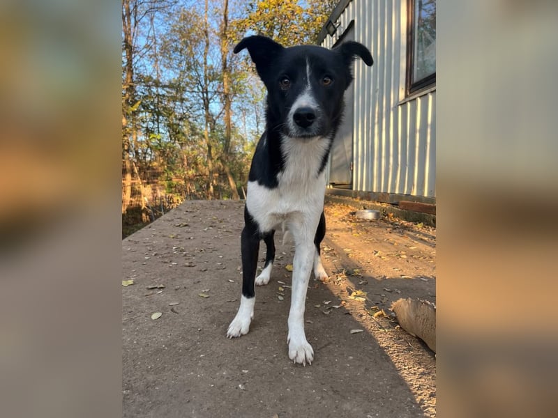 Charmante CHANTAL ist noch etwas zurückhaltend