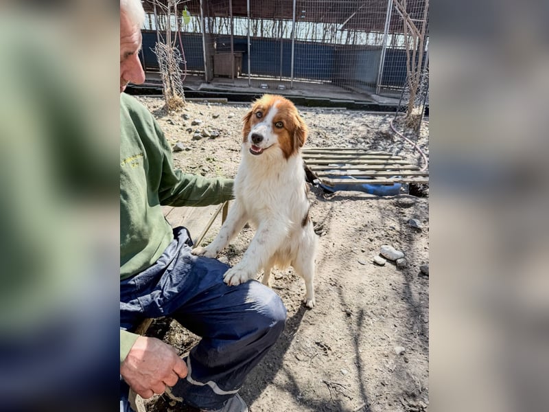 Fröhlicher Traumprinz FRIEDRICH möchte dich verzaubern