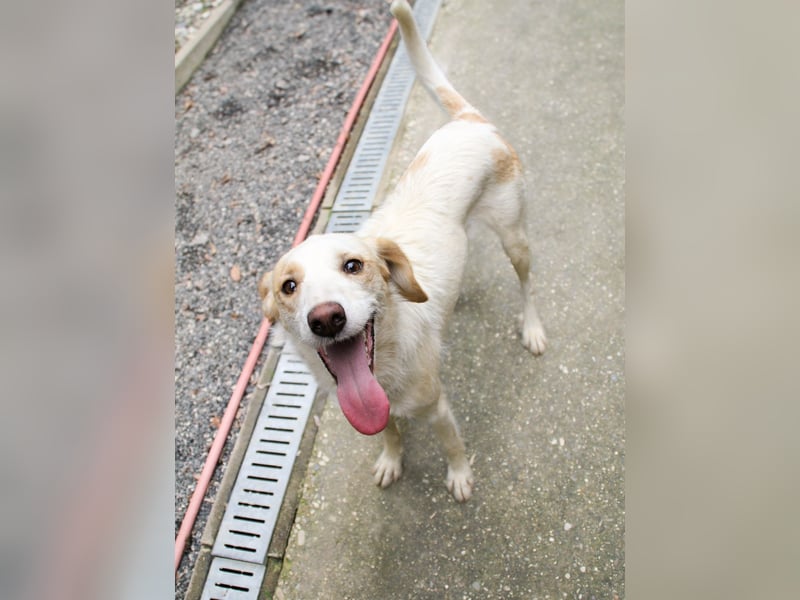 Lebensfrohe LIMA bezaubert durch ihre fröhliche und liebe Art