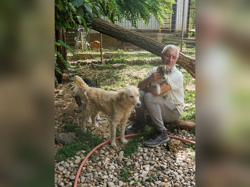 Fröhlicher MAXIM sucht Menschen für lange Spaziergänge