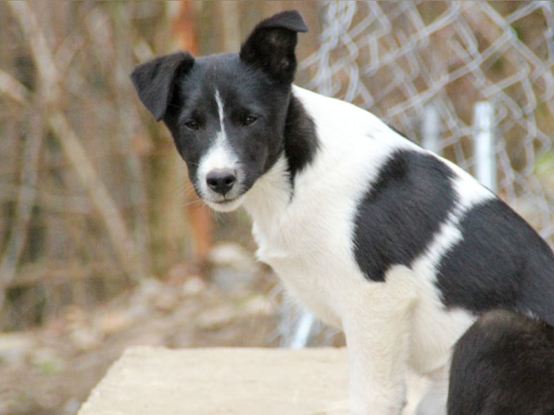 Charmante CHANTAL ist noch etwas zurückhaltend