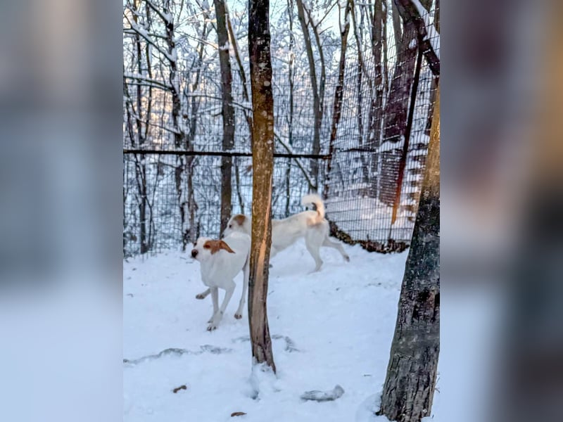 TAKITA lebensfroh, freundlich, für jeden Spaß zu haben