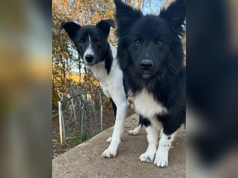 Charmante CHANTAL ist noch etwas zurückhaltend