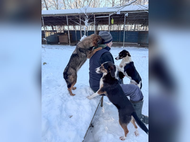 Zuckersüße LOARA sucht ihr Für-Immer-Zuhause