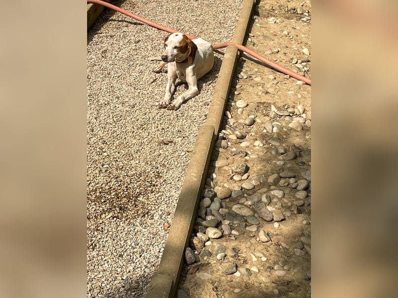 Traumbub FICO verzaubert mit seiner lieben Art